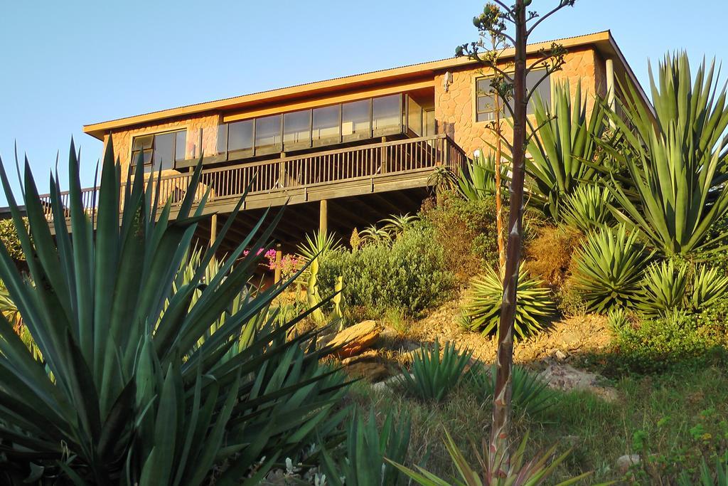 Starfish Surf House Villa Jeffreys Bay Oda fotoğraf